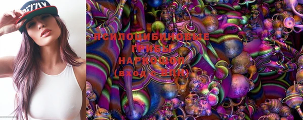 соль курить ск Сосновка