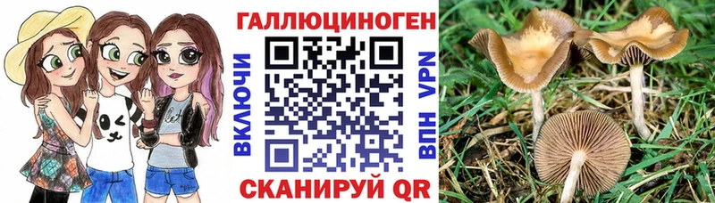 блэк спрут   как найти наркотики  Троицк  Галлюциногенные грибы Cubensis 