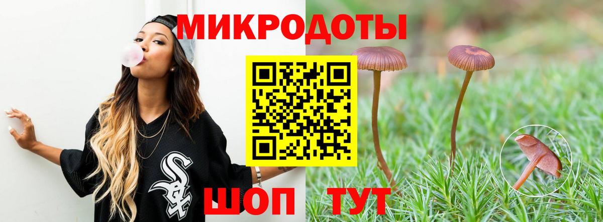 Галлюциногенные грибы Cubensis  Вход с VPN  Псилоцибиновые грибы мухоморы  Троицк 